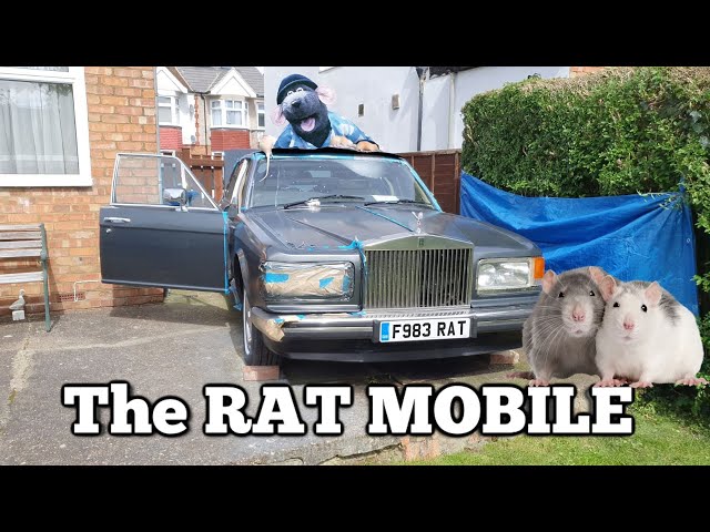 The RAT MOBILE