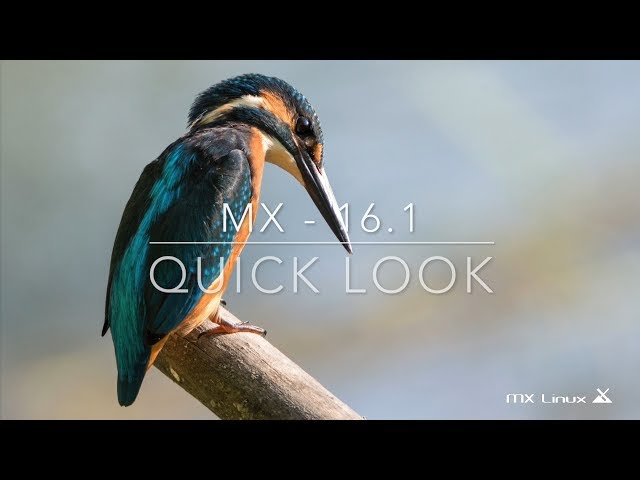 MX-16.1 Quick Look