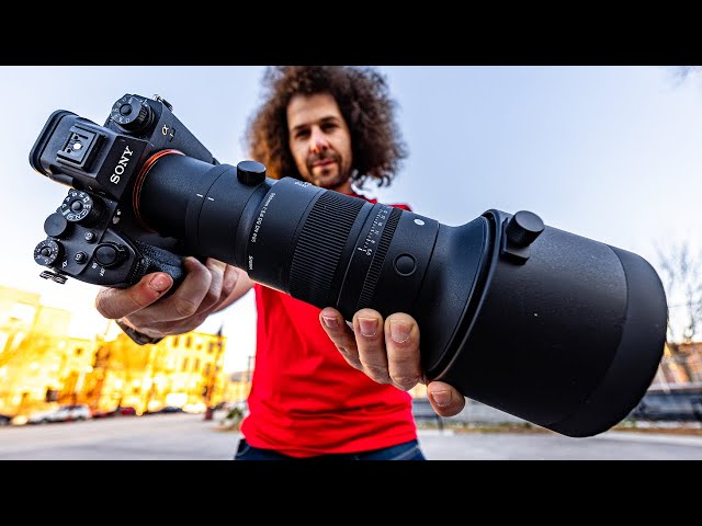 Sigma 500mm f5.6 REVIEW: The BEST “Budget” Prime Lens for Wildlife & Sports? (vs Sony 200-600)