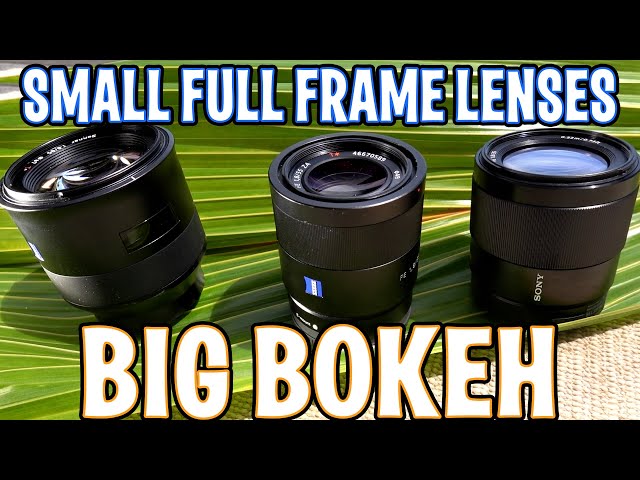 My 3 Favorite Small Full Frame Travel Lenses