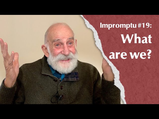 Impromptu #19 What are we? (ASMR friendly edit)