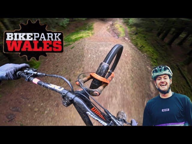 BIKEPARK WALES DOWNHILL AND JUMP LINES