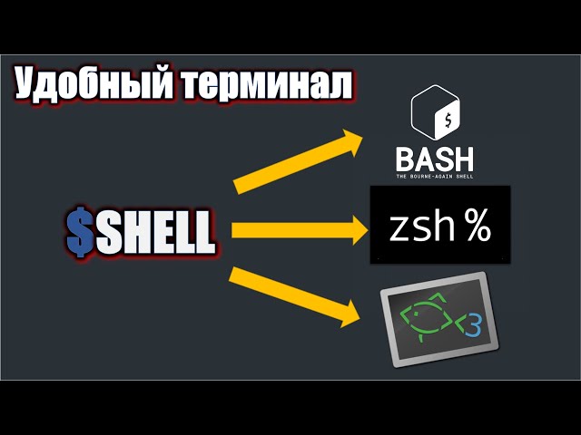 Сравнение SHELLs: BASH vs ZSH vs FISH. Делаем красочный и удобный  терминал.