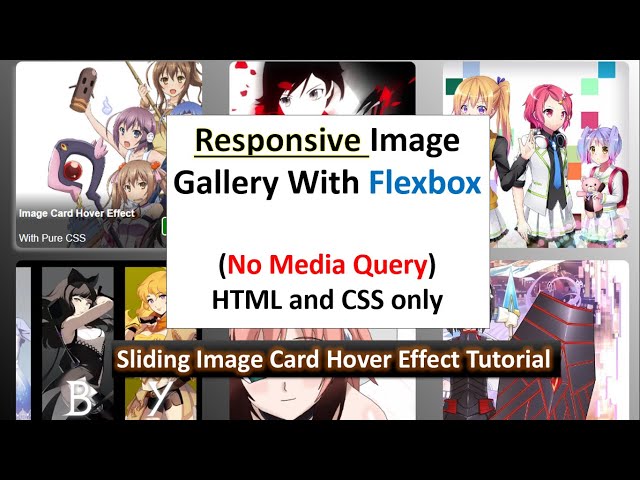 Responsive Image Gallery With Image Card Hover Effect Using HTML and CSS only | Image Hover Effect.