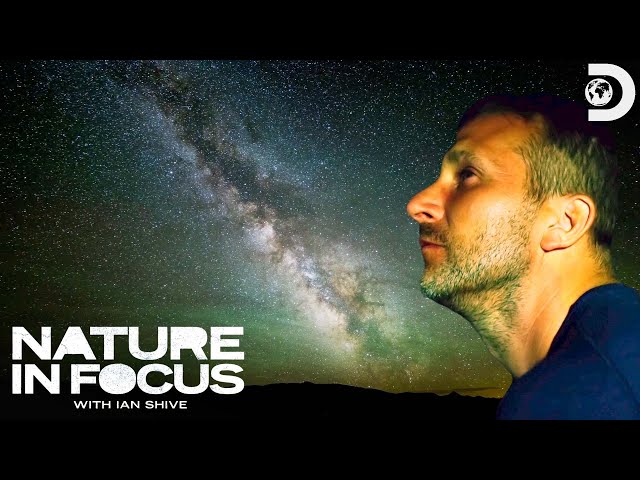 2022 Year In Review | Nature In Focus