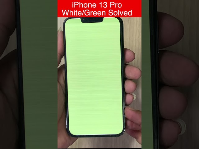 iPhone 13 Pro Green/White screen after software update solution fix #shorts  #thegsmsolution1