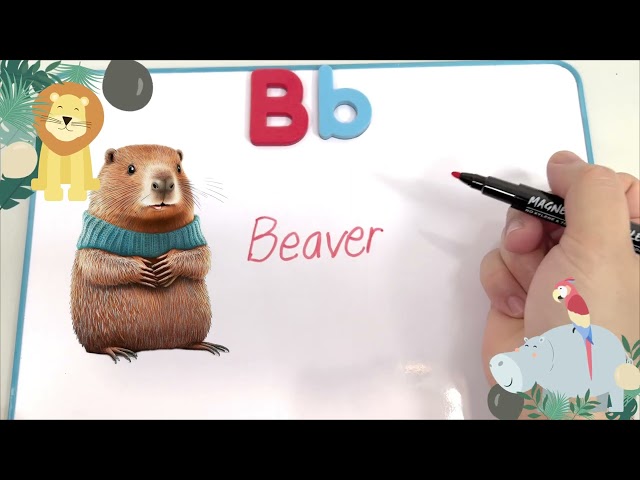 10 Wild Zoo Animals that Start with Letter B