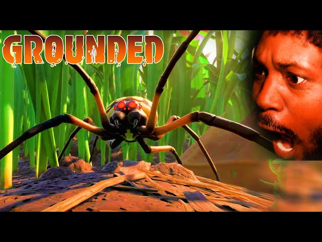 INSECTS HORROR GAME (yes, spiders too) | Grounded Gameplay