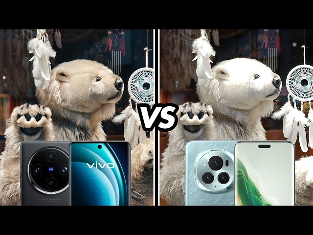 Honor Magic 6 Pro vs Vivo X100 Pro: Camera comparison