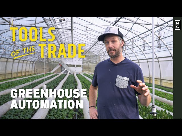 The Secret To PERFECT Greenhouse Crops | Greenhouse Automation
