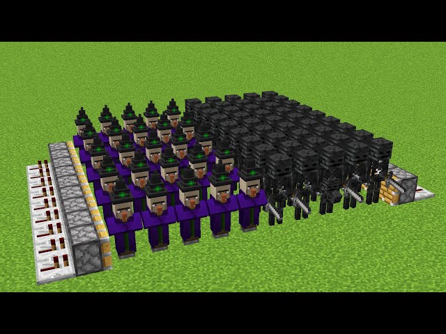 x1000 witchs and x1000 wither skeletons combined