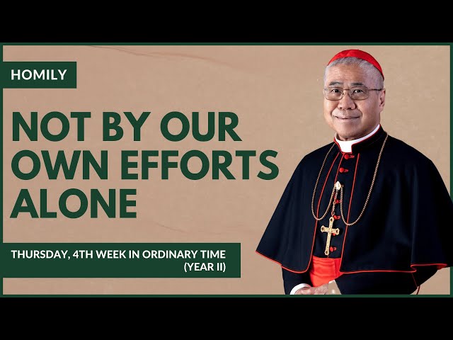 Not By Our Own Efforts Alone - William Cardinal Goh (Homily - 01 Feb 2024)