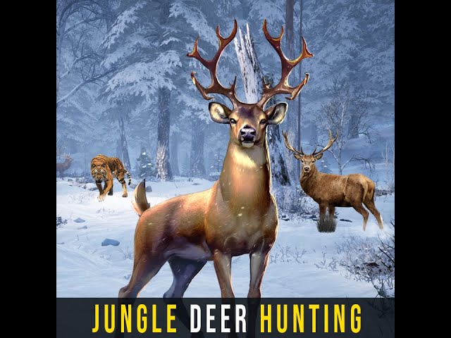 Jungle Deer Hunting Animal Shooting Game play