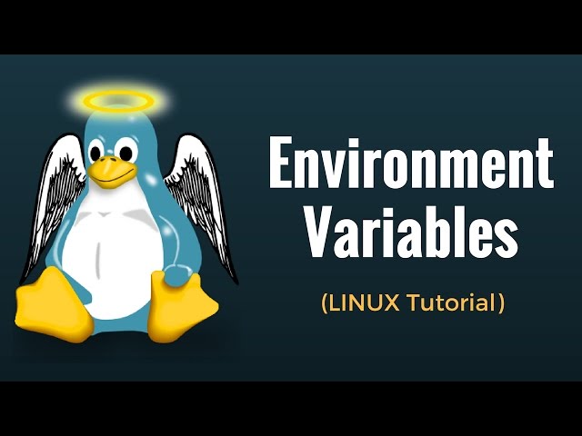 Environment Variables : Linux Tutorial #11
