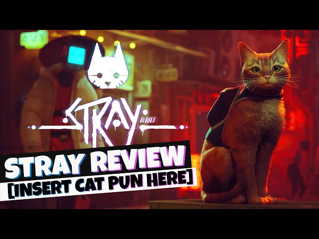 Stray Review - Cutest Post-Apocalyptic Cat Game Ever?