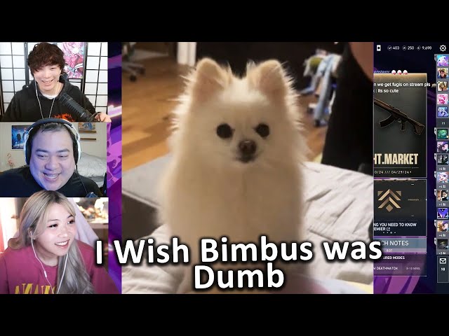 Sykkuno COULDN'T STOP LAUGHING at Lilypichu's Dog