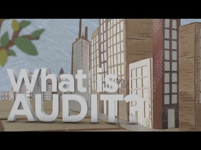 What is Audit?
