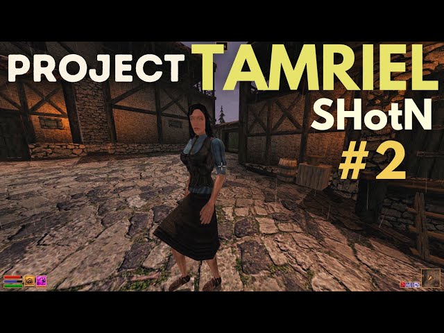 Project Tamriel: SHotN #2 | Understanding Skyrim's Reach