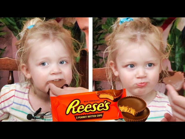 British 2 Year-Old Tries Reese's Peanut Butter Cups for the First Time!!
