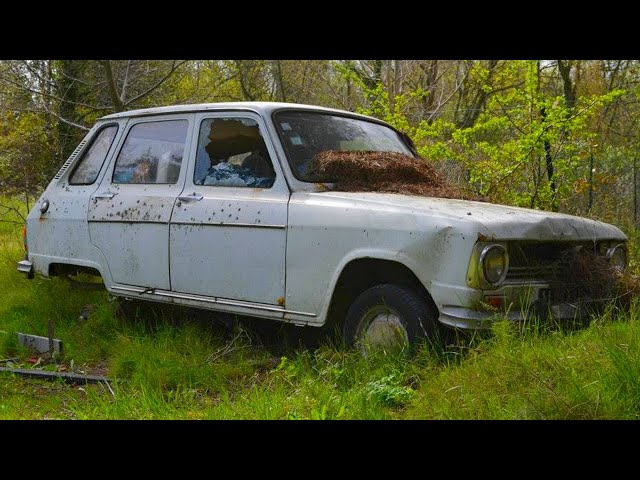 1974 Renault 6 Sinpar - Car Restoration