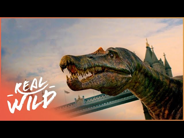 Britain's Deadliest Prehistoric Predators (Dinosaur Documentary HD) | Dinosaur Britain | Real Wild