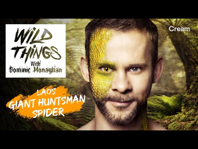Giant Huntsman Spider | Wild Things with Dominic Monaghan (Season 1 Episode 5) | FULL EPISODE