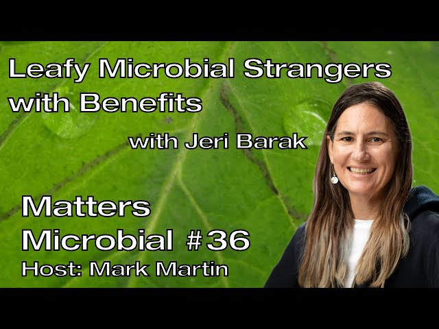Matters Microbial #36: Leafy microbial strangers with benefits