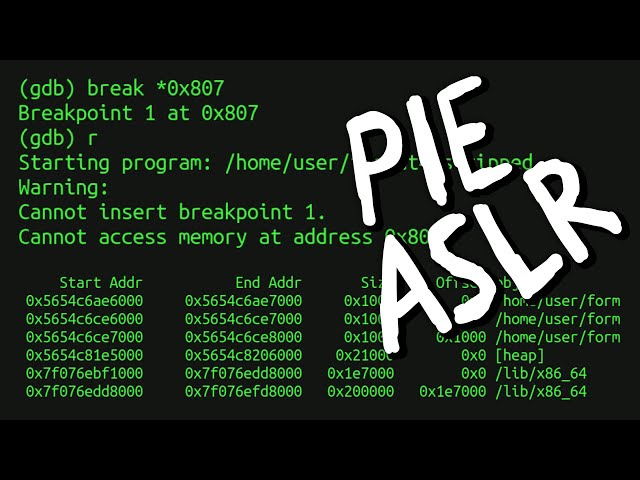 Cannot access memory at address // Debugging PIE Binaries affected by ASLR - bin 0x2E