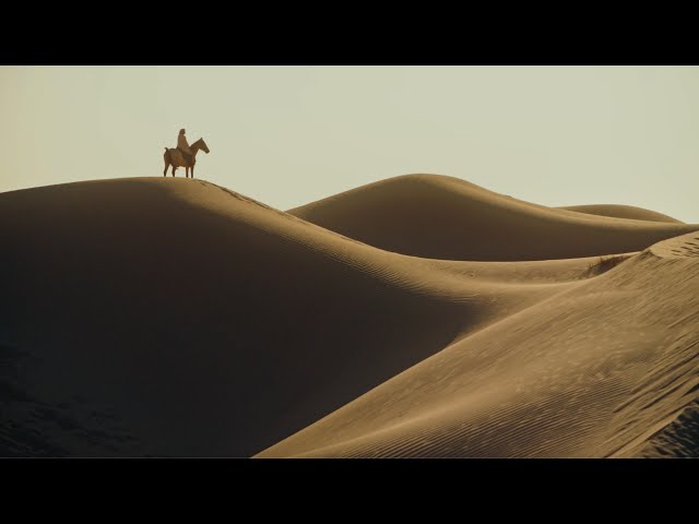 Episode 2: The Desert & the Dance | Al Wathba, a Luxury Collection Desert Resort & Spa, Abu Dhabi