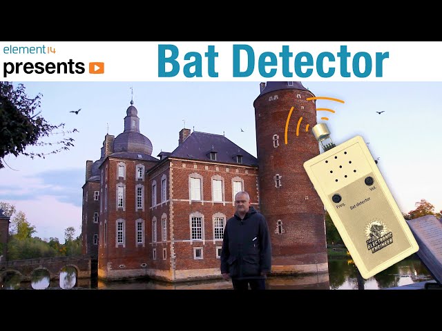 Build Your Own Bat Detector with Analog Parts!