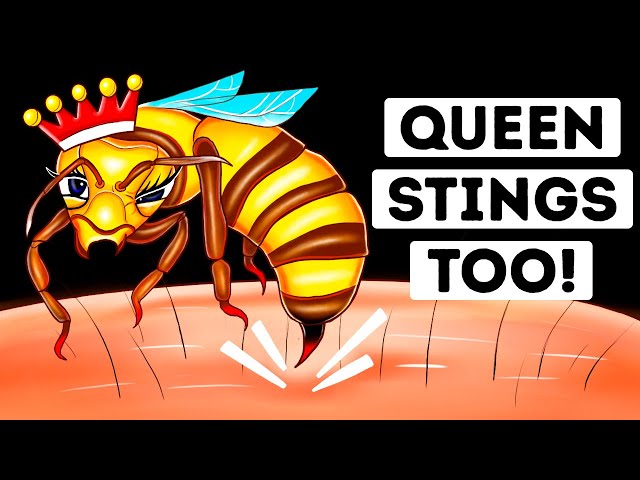 Are Queen Bee Stings More Dangerous? (We Found Out)