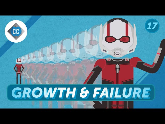 Is Growth Right For You?: Crash Course Entrepreneurship #17