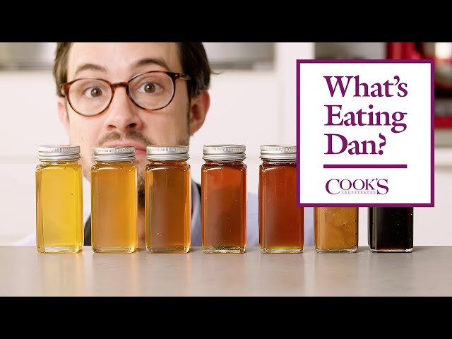 The Science of Honey (and the Bees Who Make It) | What's Eating Dan?