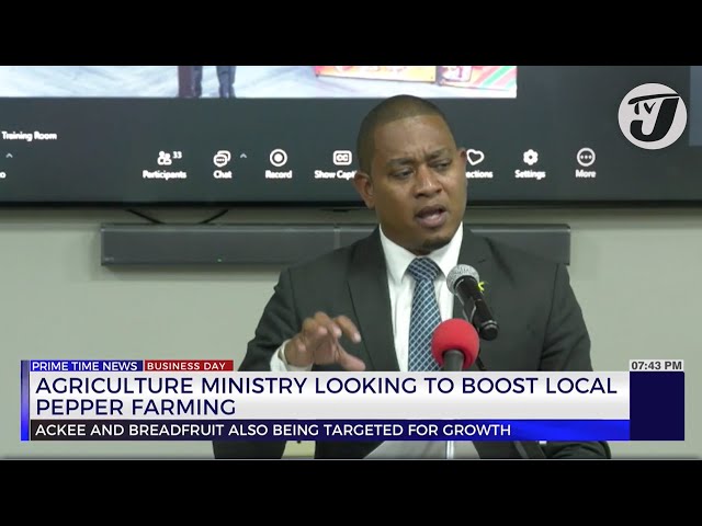 Agriculture Ministry Looking to Boost Local Pepper Farming | TVJ Business Day
