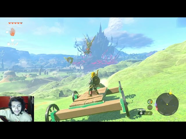 Pinkweenie Reacts to Legend of Zelda : Donkey Tears by videogamedunkey