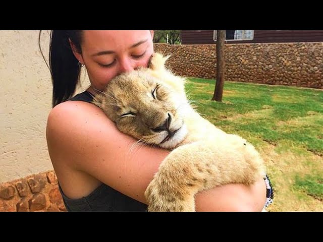 Special ways animal say "I LOVE YOU" to human