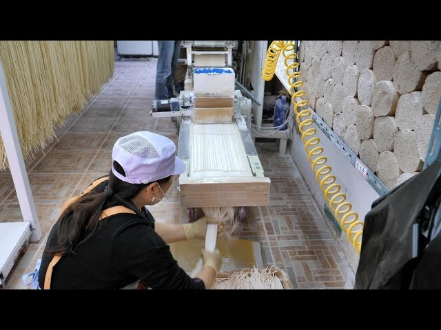Noodle making factory-Korean food noodles