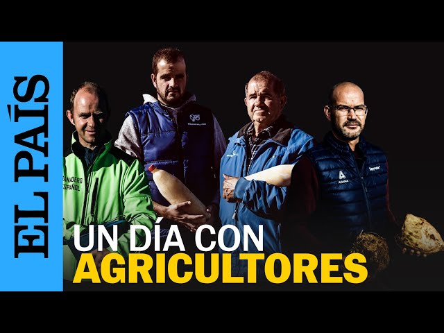 REPORTAJE Agricultura | El día a día de los agricultores y ganaderos en España | EL PAÍS