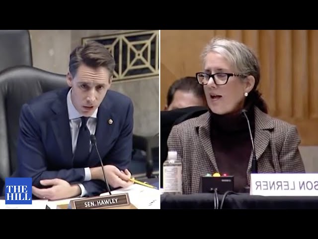 "You Deny?' Sen. Hawley Leaves Witness Speechless During Intense Questioning