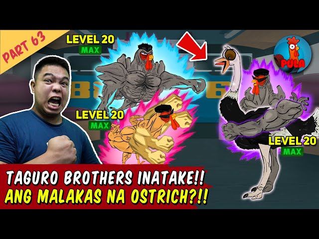 Lahat ng Taguro Inatake Ang Ostrich! - Manok na Pula Part 63