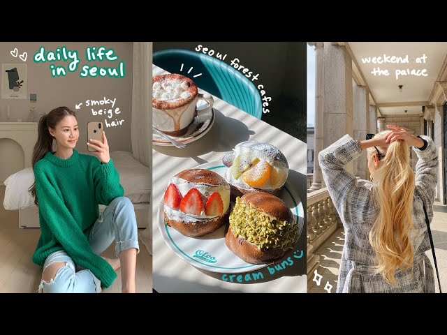 weekly vlog 🇰🇷 bye blonde hair, pre-30 anxiety, homemade fish cake soup, cream buns, silver button