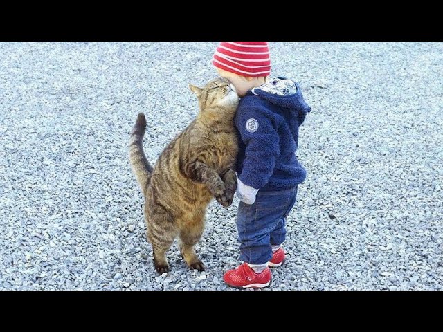 When you are my little friend - Cute Moments Cat and Human🥰