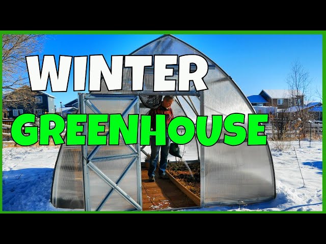 Winter Greenhouse Growing