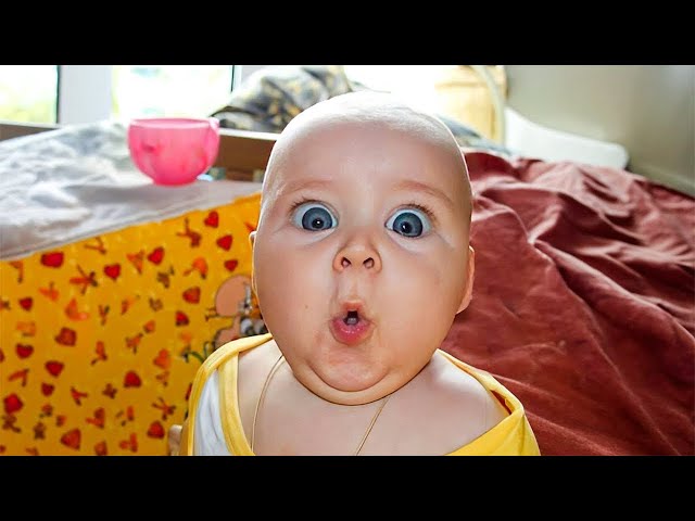 🔴 [LIVE] A MUST: TOP Cute Baby Of This Week - Funny Baby Videos | BABY BROS