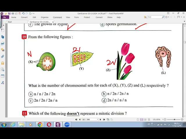 4 Answer of Reproduction till flowering plants