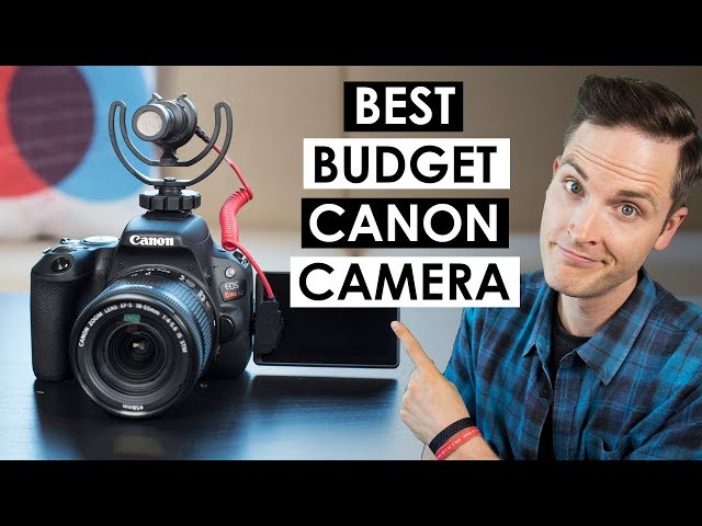 Best Budget Canon Camera — Canon SL2 Review and Video Test
