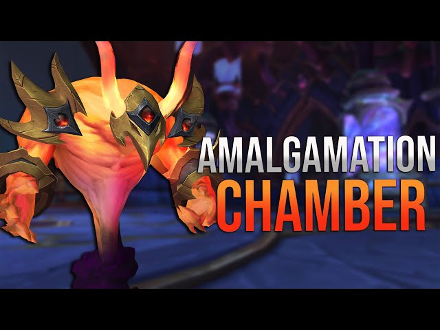 Mythic The Amalgamation Chamber Kill! Warlock PoV - Aberrus, the Shadowed Crucible