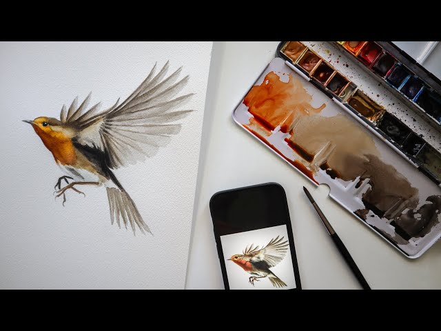 How to paint a bird (Watercolor robin tutorial)