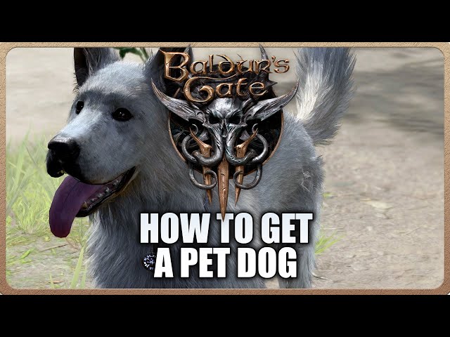 Baldur's Gate 3 - How to find Scratch and Get a pet dog