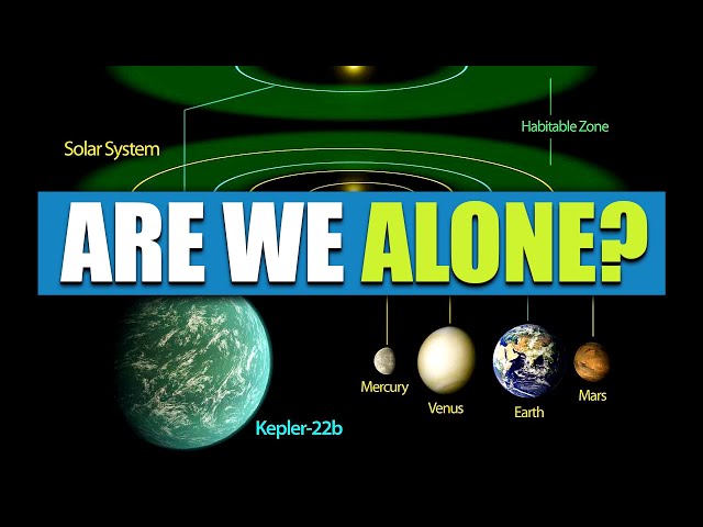 Where Will Life be in Our Solar System?